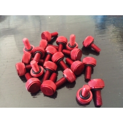 Set 12 x Bead lock screws red
