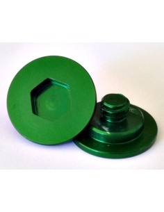 SCREWS BELL HELMET GREEN