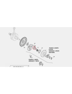rotax-interior-clutch-washer 2